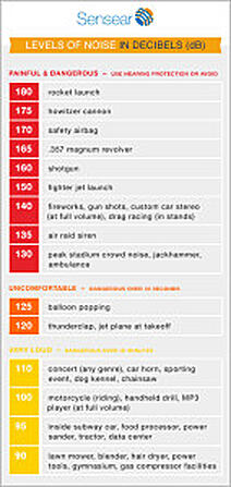 Decibel levels of everyday noises